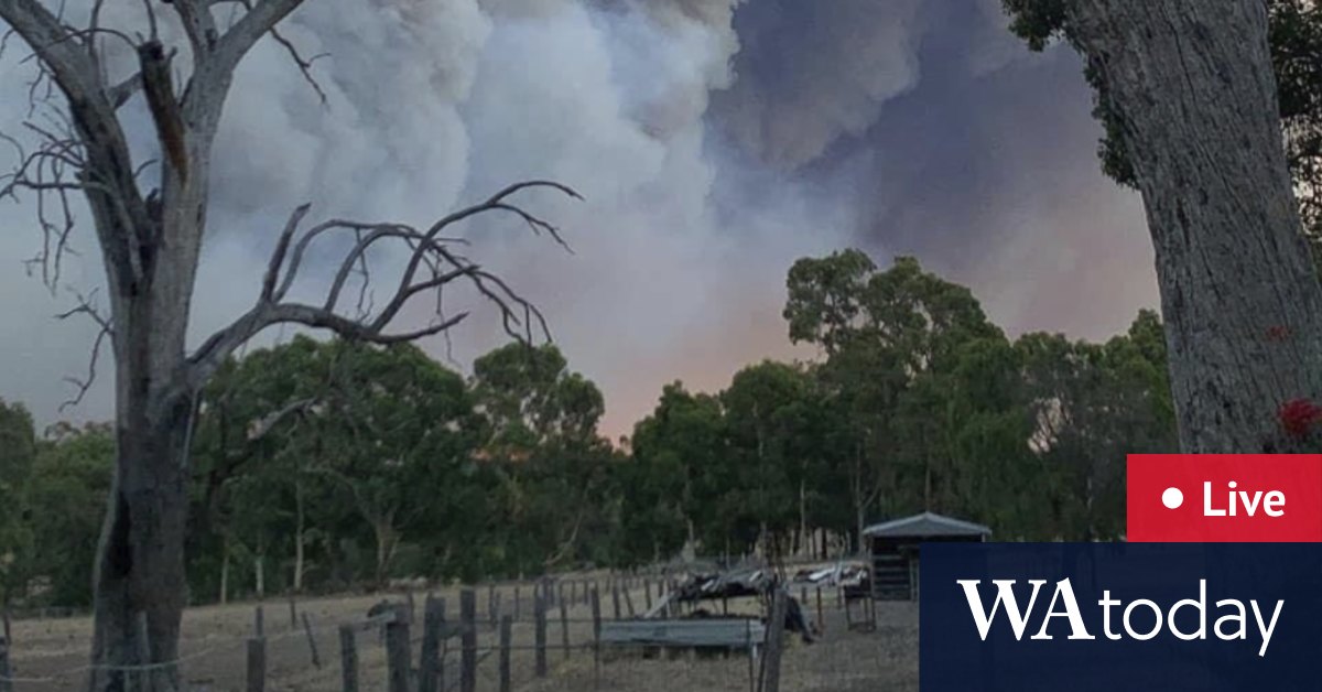Wooroloo bushfire LIVE: 56 homes lost as firefighters tackle blaze in Perth's hills - Vimarsana News
