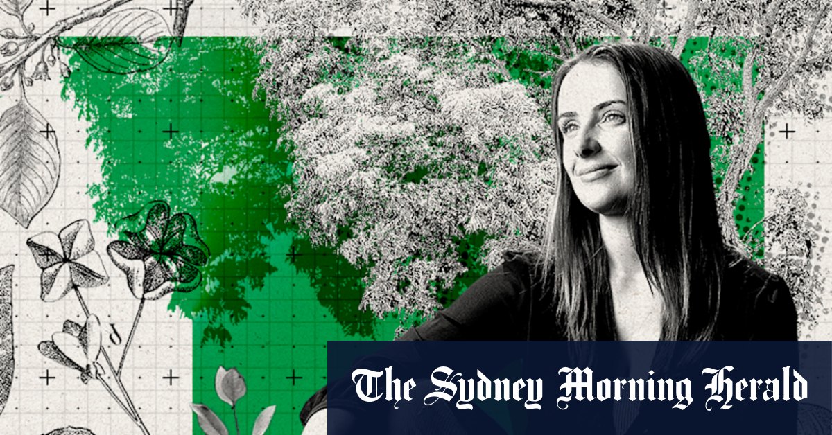 Meet Sydney's tree guardians: How to protect a city"s greenery - Vimarsana News