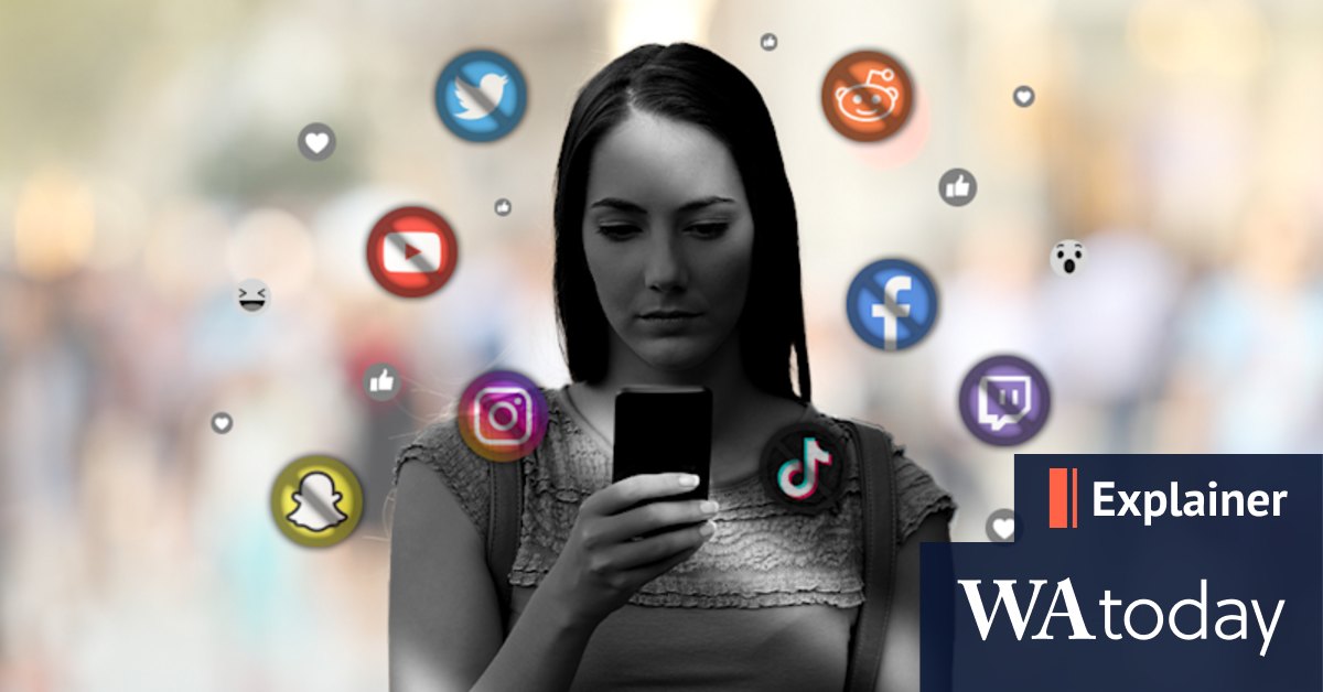 What is a shadow ban? Are social media companies censoring content? - Vimarsana News