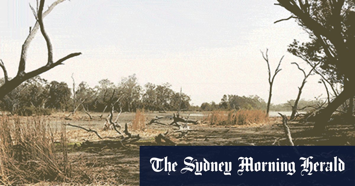 La Nina brings Murray-Darling basin back to life - Vimarsana News