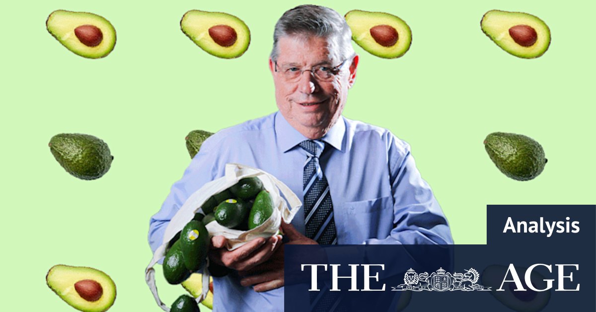 Avocado is a brunch staple, so why is grower Costa getting smashed? - Vimarsana News