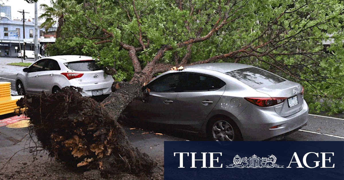 Thousands remain without power, as NSW SES arrives to help state authorities - Vimarsana News