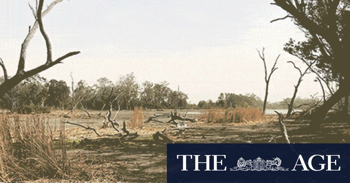 La Nina brings Murray-Darling basin back to life - Vimarsana News