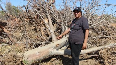 Traditional owner Rosita Shaw was distraught with the unauthorised landclearing at Yakka Munga pastoral lease by Chinese owned Shanghai Zenith.