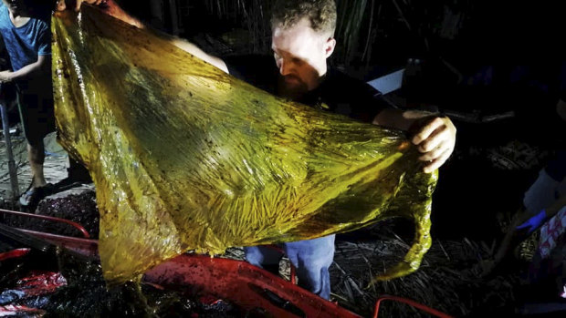 40 kilograms of plastic bags were found inside a whale found dead in the Philippines.