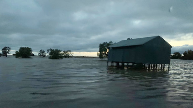 Flood water which rose overnight in Birchip. 