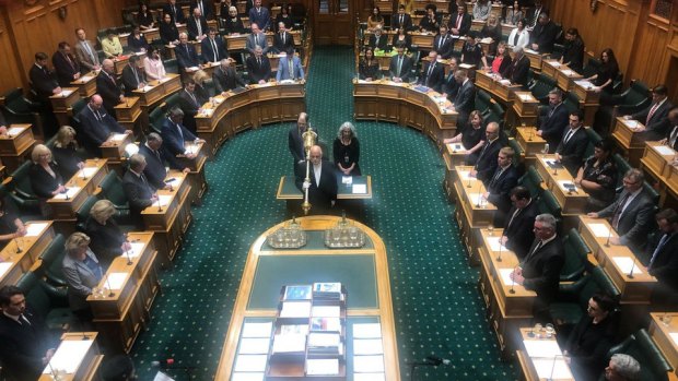 Parliament opens in Wellington on Tuesday. 