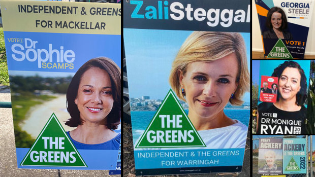 A number of independent candidates’ corflutes were targeted with stickers claiming they were running for the Greens.