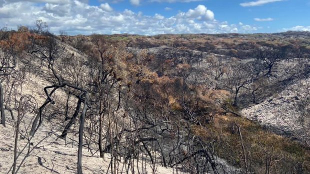 The fire on Fraser Island, which has been burning for six weeks, has ravaged half of the island.