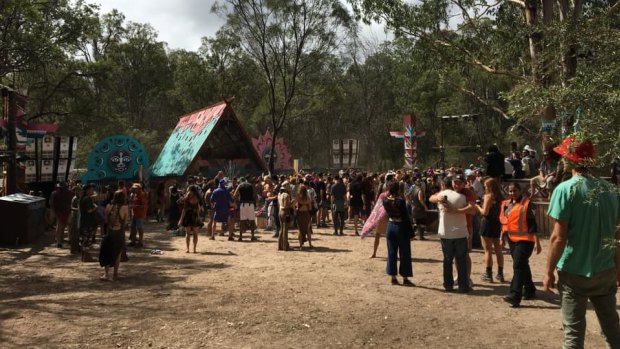 An image of this year's Rabbits Eat Lettuce music festival, held near Warwick in southern Queensland.