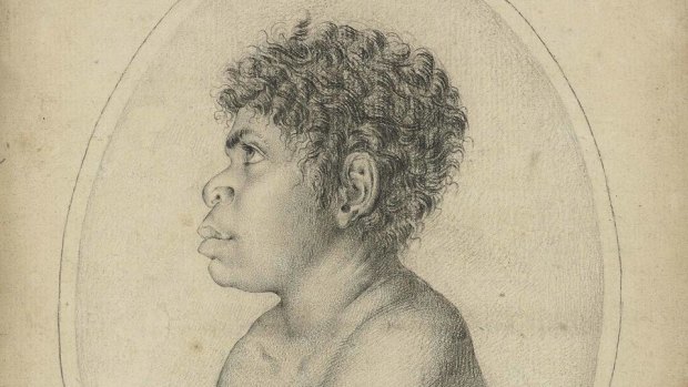 Toulgra, a native of NSW by Nicolas-Martin Petit.