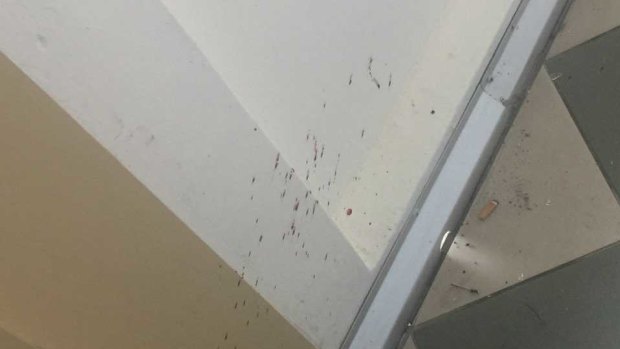 Blood spatters still remained nearly 24 hours after Wednesday's attack. 