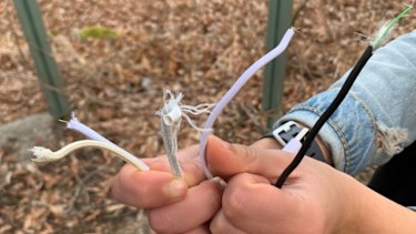 None of the cables were strong enough to survive the weight test, but some did better than others.