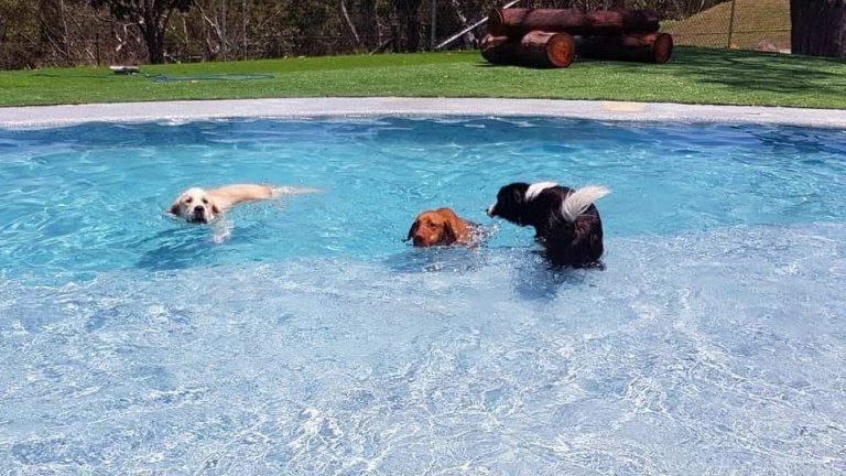 Calabash kennels 2025