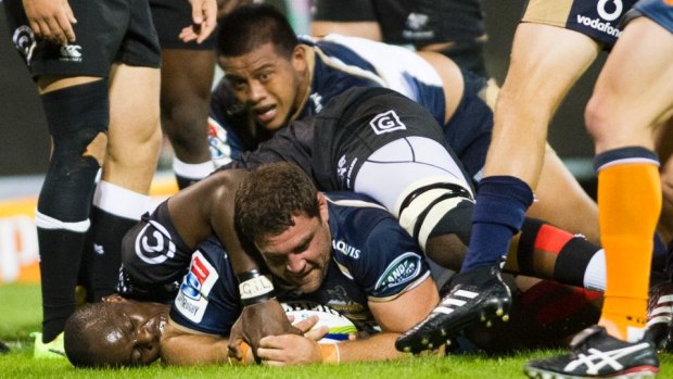 Determined: Josh Mann-Rae scores a try for the Brumbies.