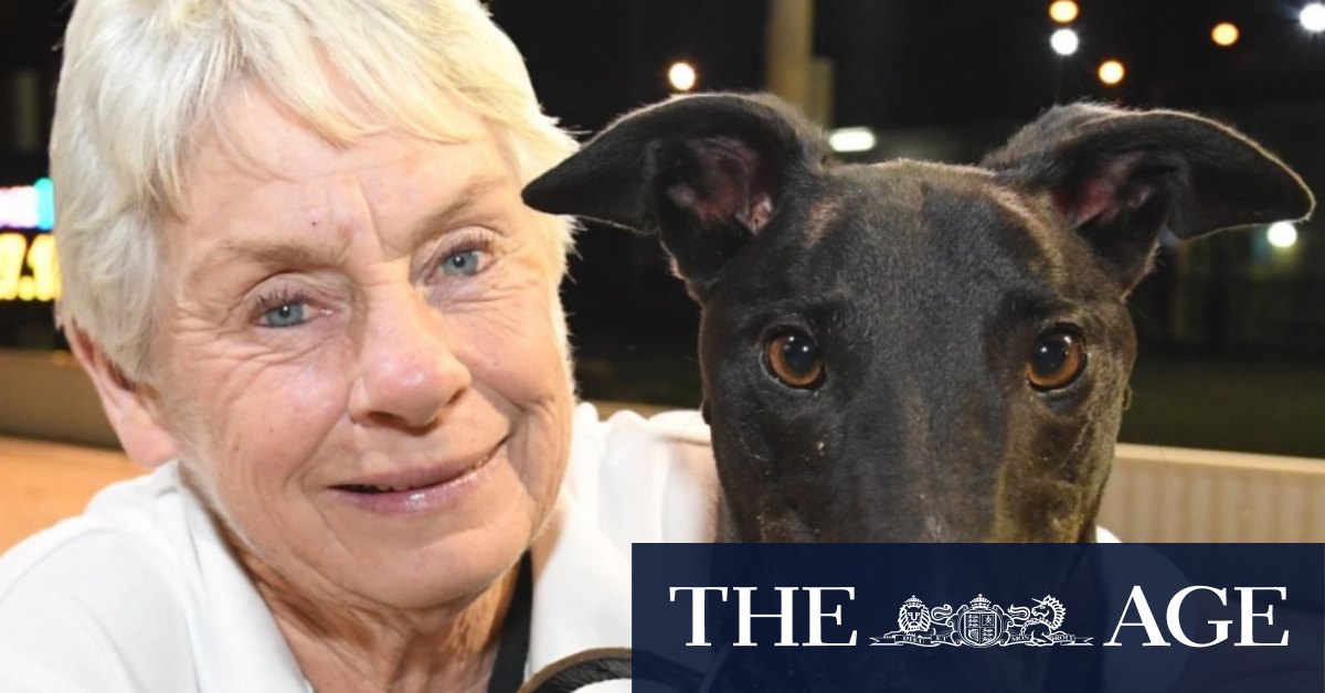 Niece pleads guilty to murdering greyhound trainer Karen Leek - Vimarsana News