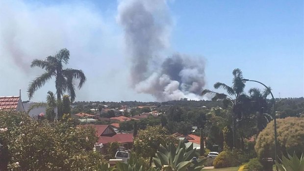 Lives and homes in Jandabup are in danger as a bushfire broke out near the pine plantation. 