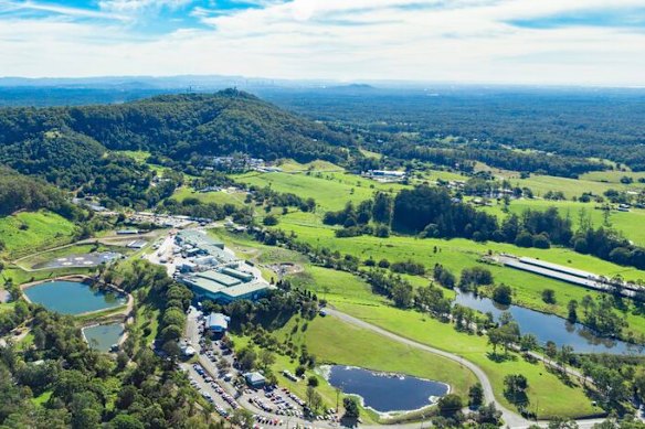The chicken farm in Mount Cotton.