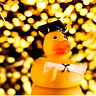 A picture of a rubber duck included in emeritus professor William Maley’s submission to the inquiry on university governance.