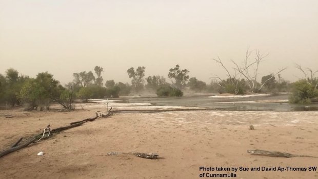 The dust was whipped-up by the trough in inland parts of the state, as shown in this picture taken near Cunnamulla, about 790km west of Brisbane. 