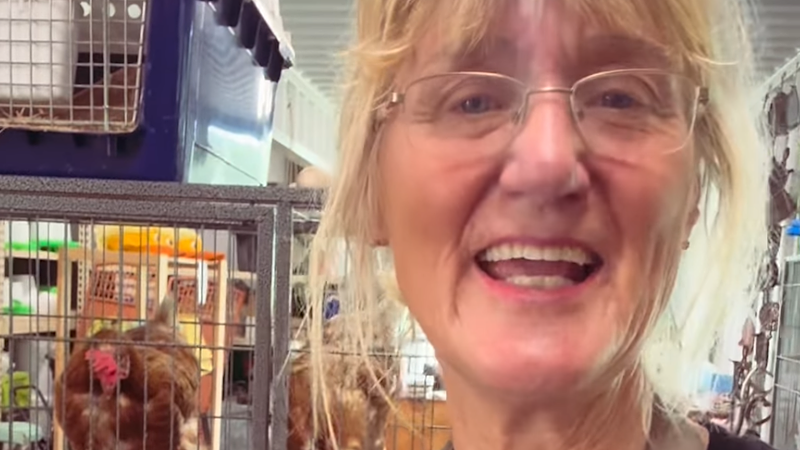 Animal abuse allegations surface at petting zoo that employed paedophile