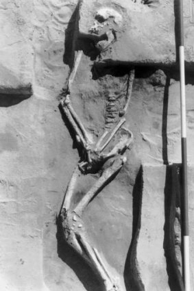 The skeleton dubbed Mungo Man, unearthed in 1974 at Lake Mungo in New South Wales.