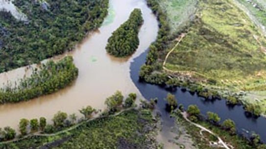 'Shut it down': Murray-Darling Basin Authority accused of cover-up