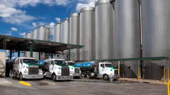 The competition regulator is concerned Murray Goulburn's deal with Canadian Saputo could lead to lower prices for farmers. 