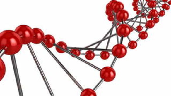 The gene technology regulator is looking at deregulating the gene-editing technique CRISPR.