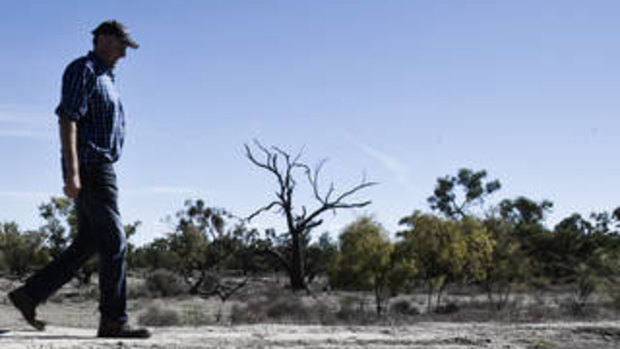 The Darling River has suffered from excessive upstream irrigation, pastoralists such as Rob McBride says.
