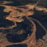 ‘Forest disappearing on its watch’: WA botanist blows whistle on mining rehab ‘slip’