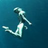 ‘You’re completely in control’: why free-diving’s finding new fans