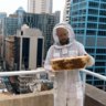 Working bees: How a CBD hotel could save Sydney’s endangered bee population
