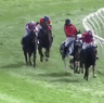 The clerk of the course got tangled up in a race at Warrnambool on Thursday.