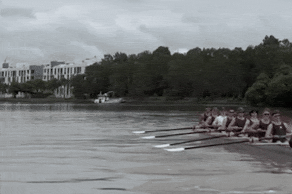 O tubarão salta do rio Parramatta enquanto os remadores da King's School treinam em Sydney no início desta semana.