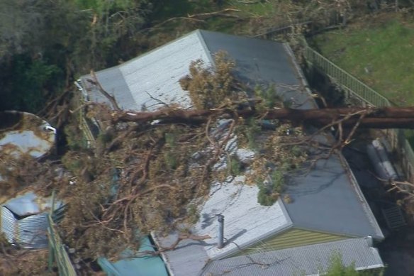 A tree fallen over a Gold Coast property.