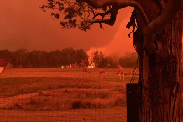 The wind from the fire front was so hot, “your face felt like it was going to melt off”,  says Sam Ion.