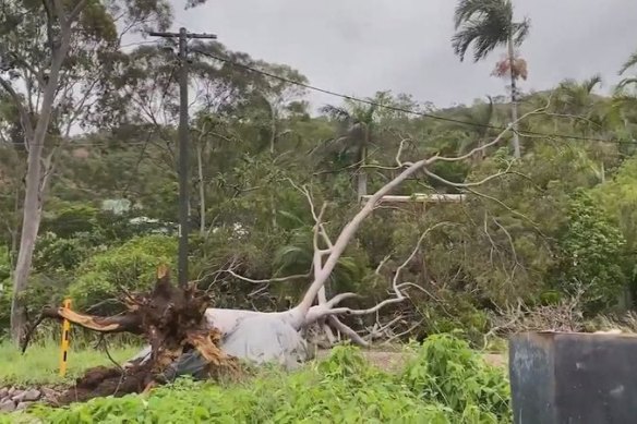 A Queensland community is once again in recovery mode after ex-tropical cyclone Kirrily took down power lines and uprooted trees in the state’s north-east.