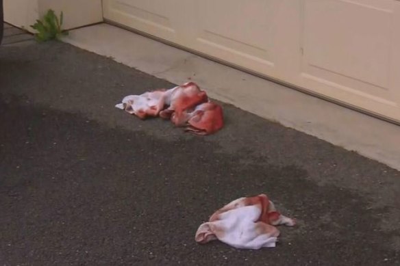 The crime scene at the Adelaide Hills home in 2017 after the alleged axe attack and shooting.