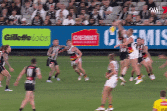 Scott Pendlebury has been offered a one-match ban.