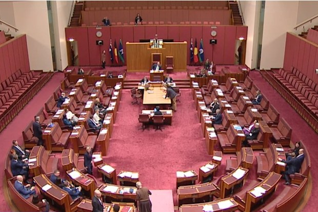 Senate