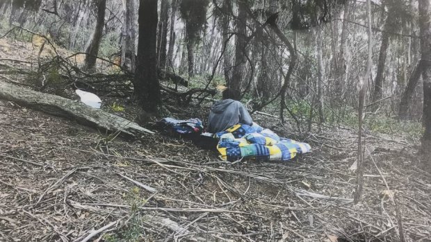 Phoenix's mother Tessa Woodcock at the remote Tallaganda National Park campsite where the pair were allegedly found.