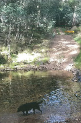 The river crossing Matthews says he heard an older style 4WD u-turn at as it was closed.