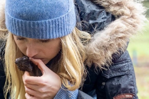 黑猫松露:拥抱冬天在高度重视与松露的搜寻truffiere赫本夏尔。