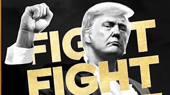 Trump meme coin. Photo: X (formerly known as Twitter)