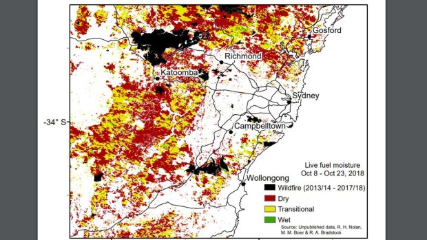 Much of the region around Sydney remains dry even after a damp October, according to moisture maps of live vegetation.