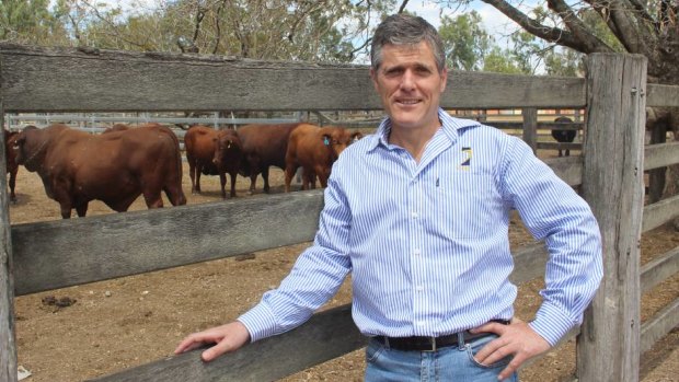 AgForce's chief executive Mike Guerin says rural producers argue they can help reduce carbon emission more if Queensland's flagship Land Restoration Fund is redesigned.