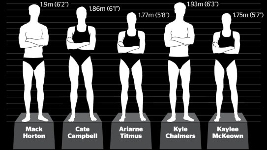 Most swimmers are taller than average.