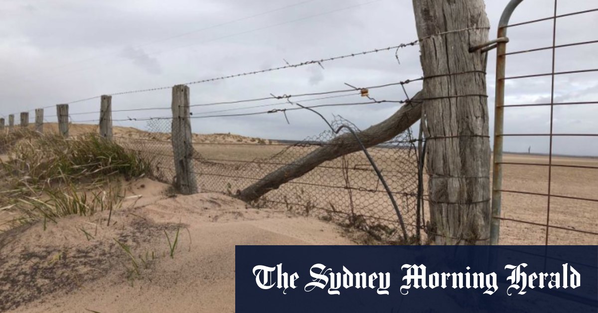 Summary of fences not just an openandshut gate PressNewsAgency