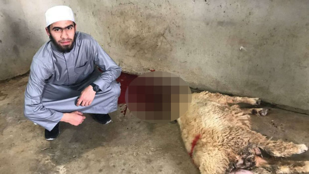 Isaak el Matari posted this photo of himself next to a slaughtered sheep.
